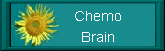 Chemotherapy Chemo Brain