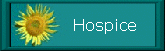 Hospice