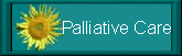 Ovarian Cancer Palliative Care